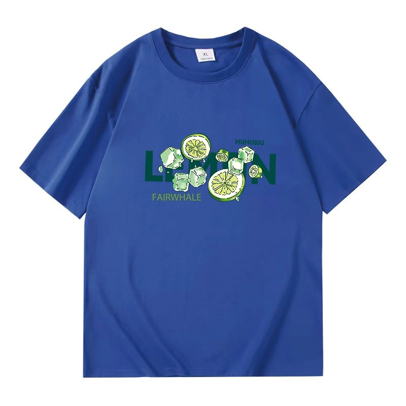 FAIRWHALE NASA T