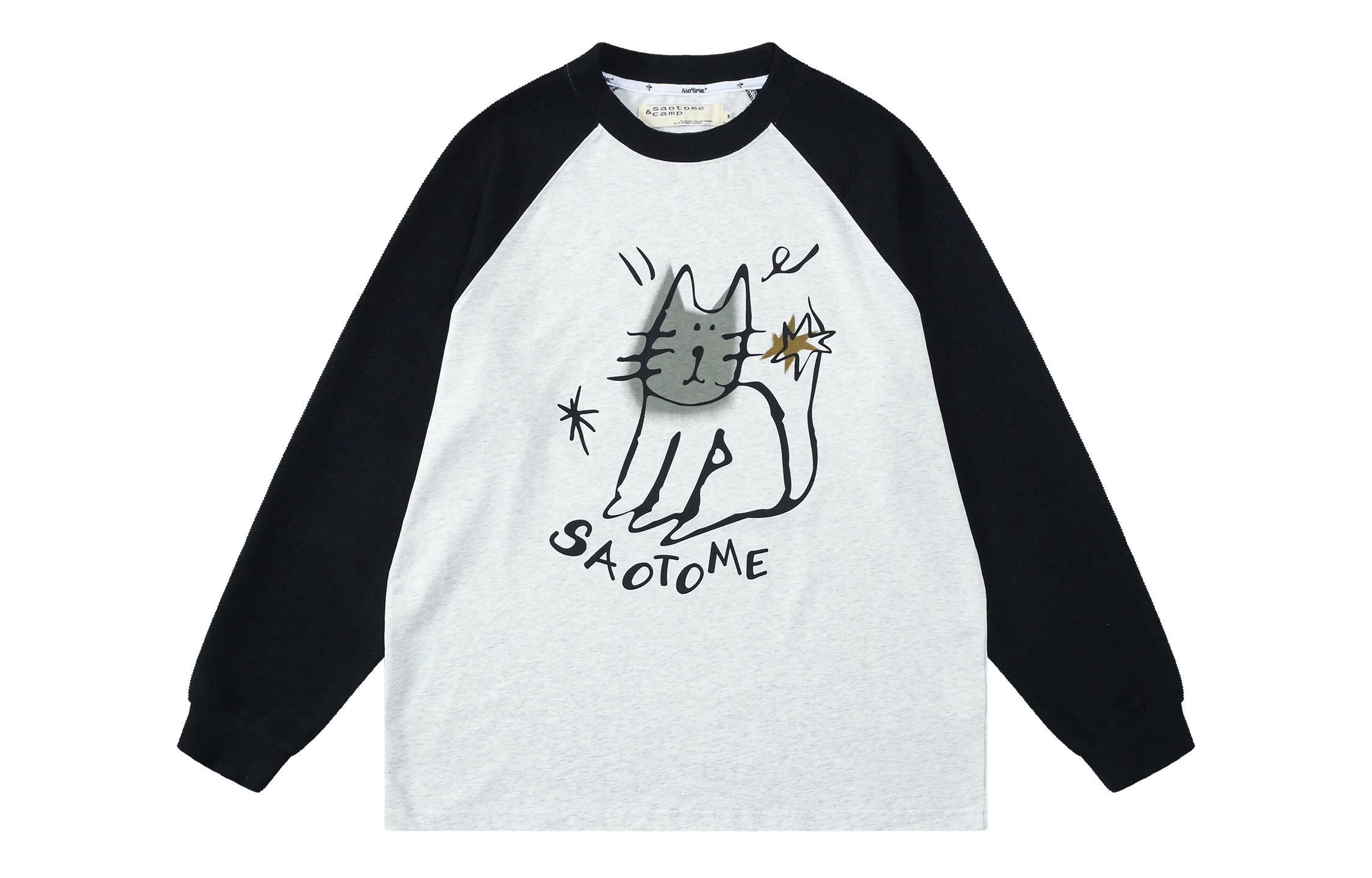 Saotome T