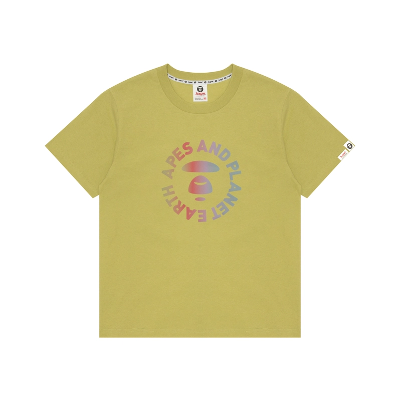 Aape T