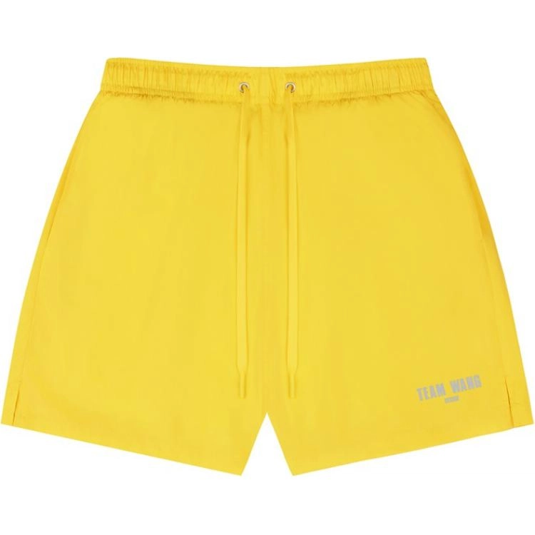TEAM WANG design SS24 I SEE THE LIGHTS logo