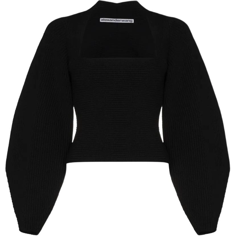 alexander wang