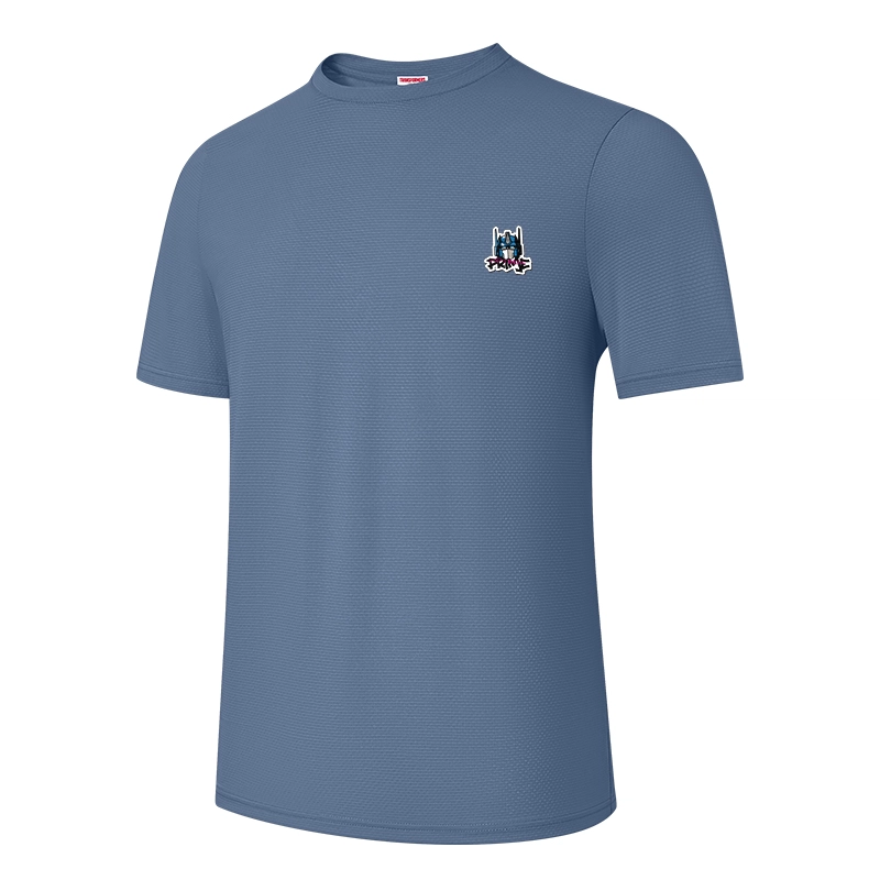 TRANSFORMERS T