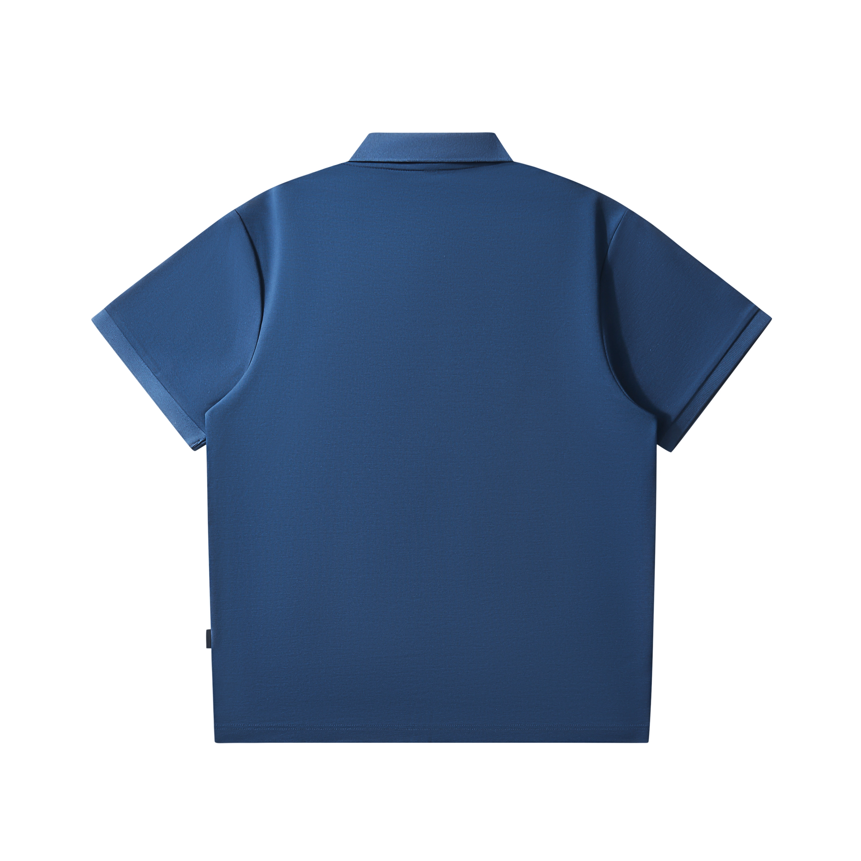 CSKS LogoPolo