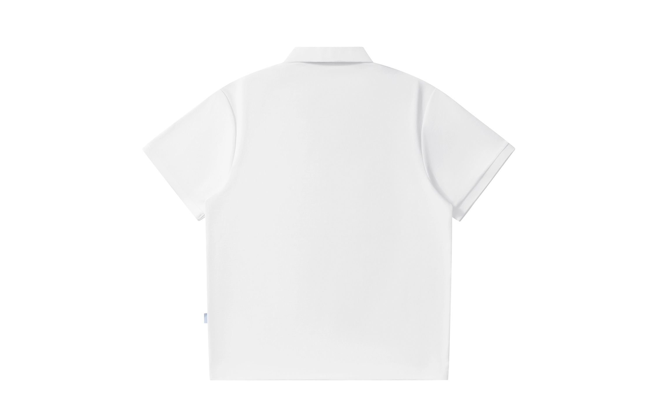 CSKS LogoPolo
