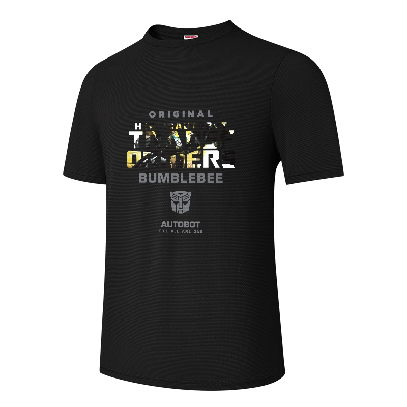 TRANSFORMERS T