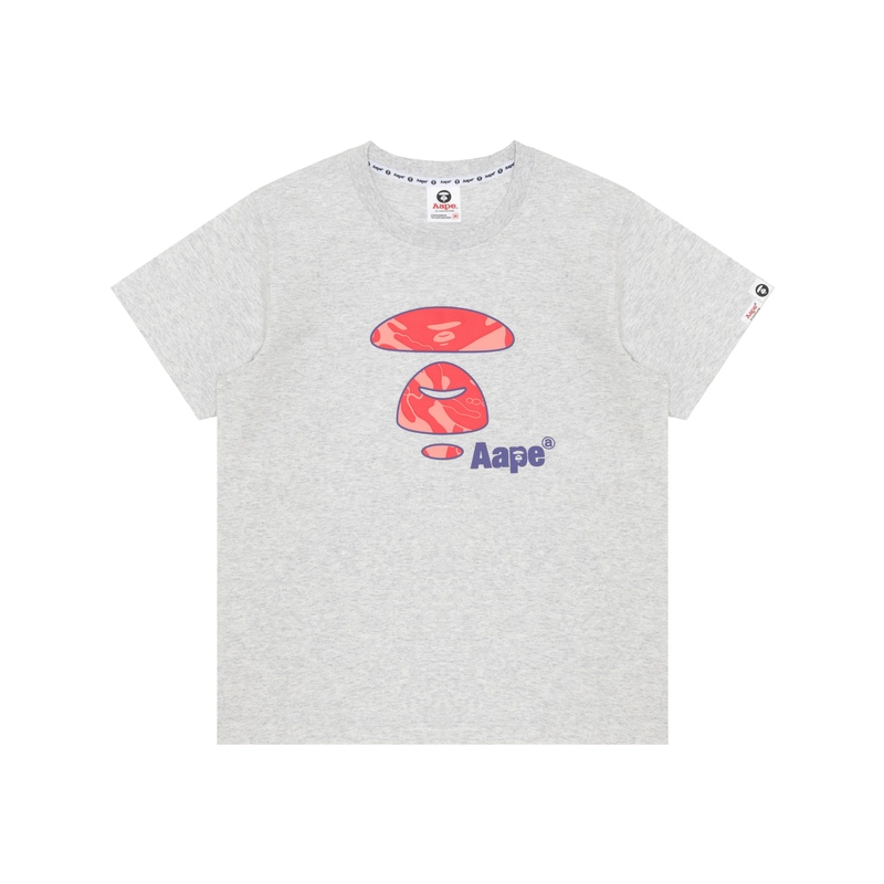 Aape T