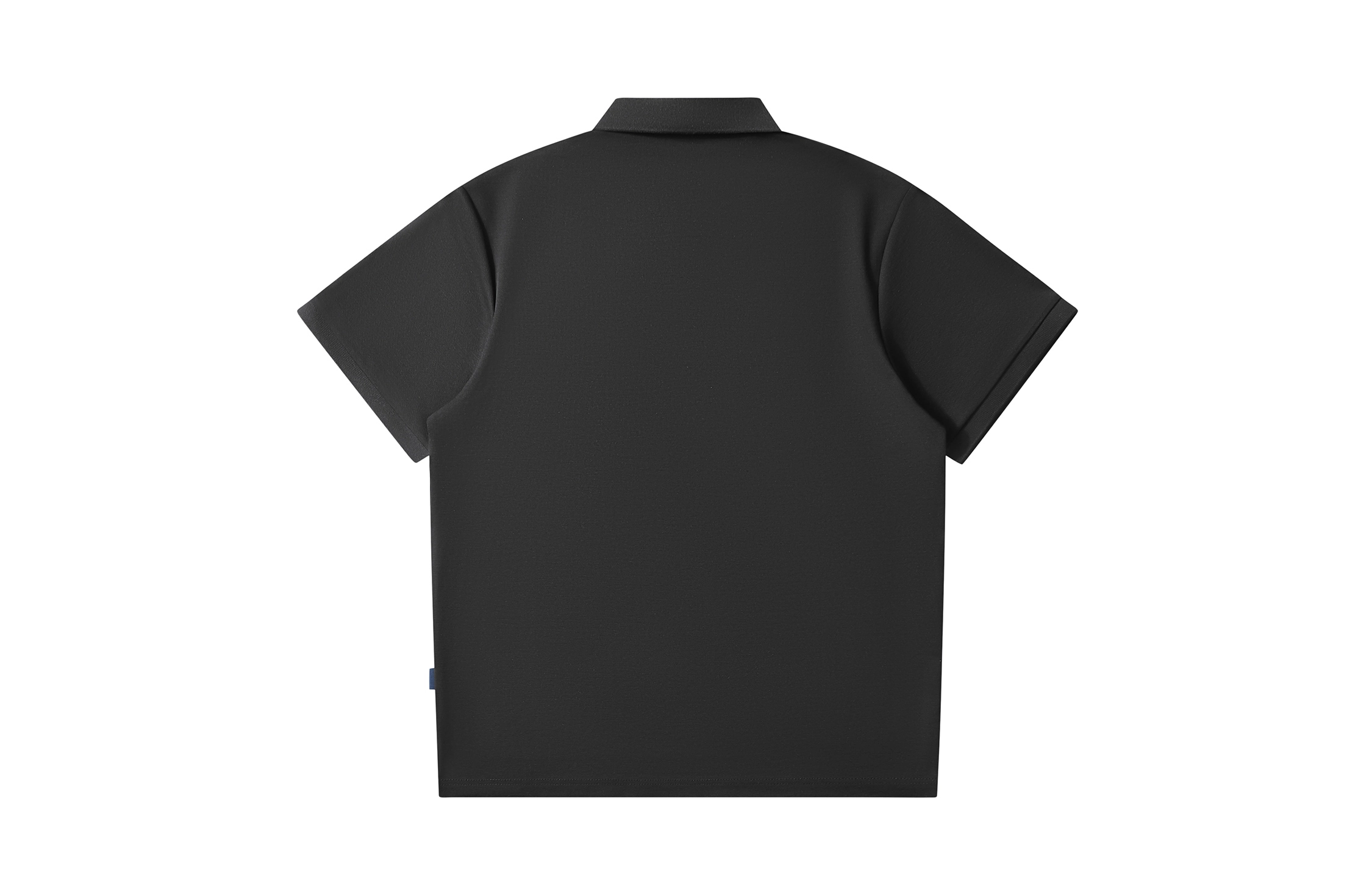 CSKS LogoPolo