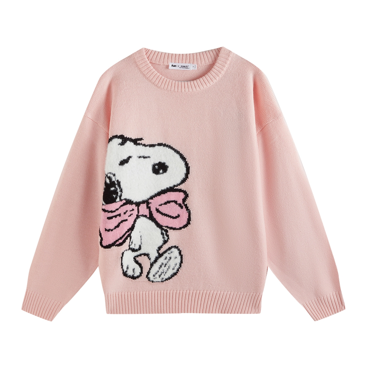 fun x SNOOPY