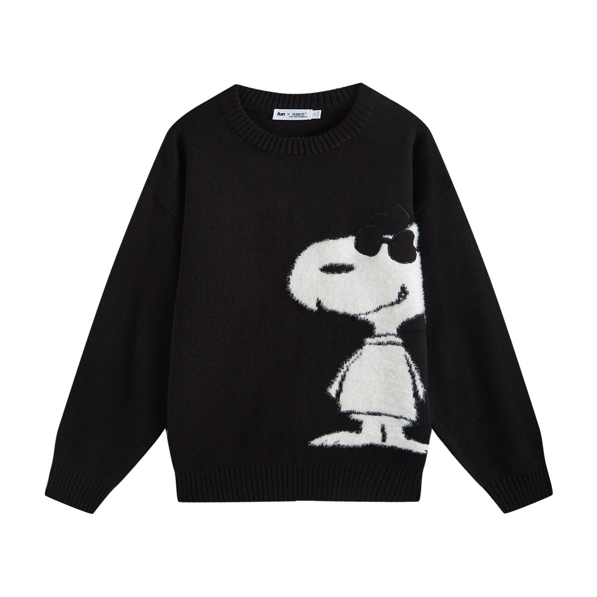 fun x SNOOPY