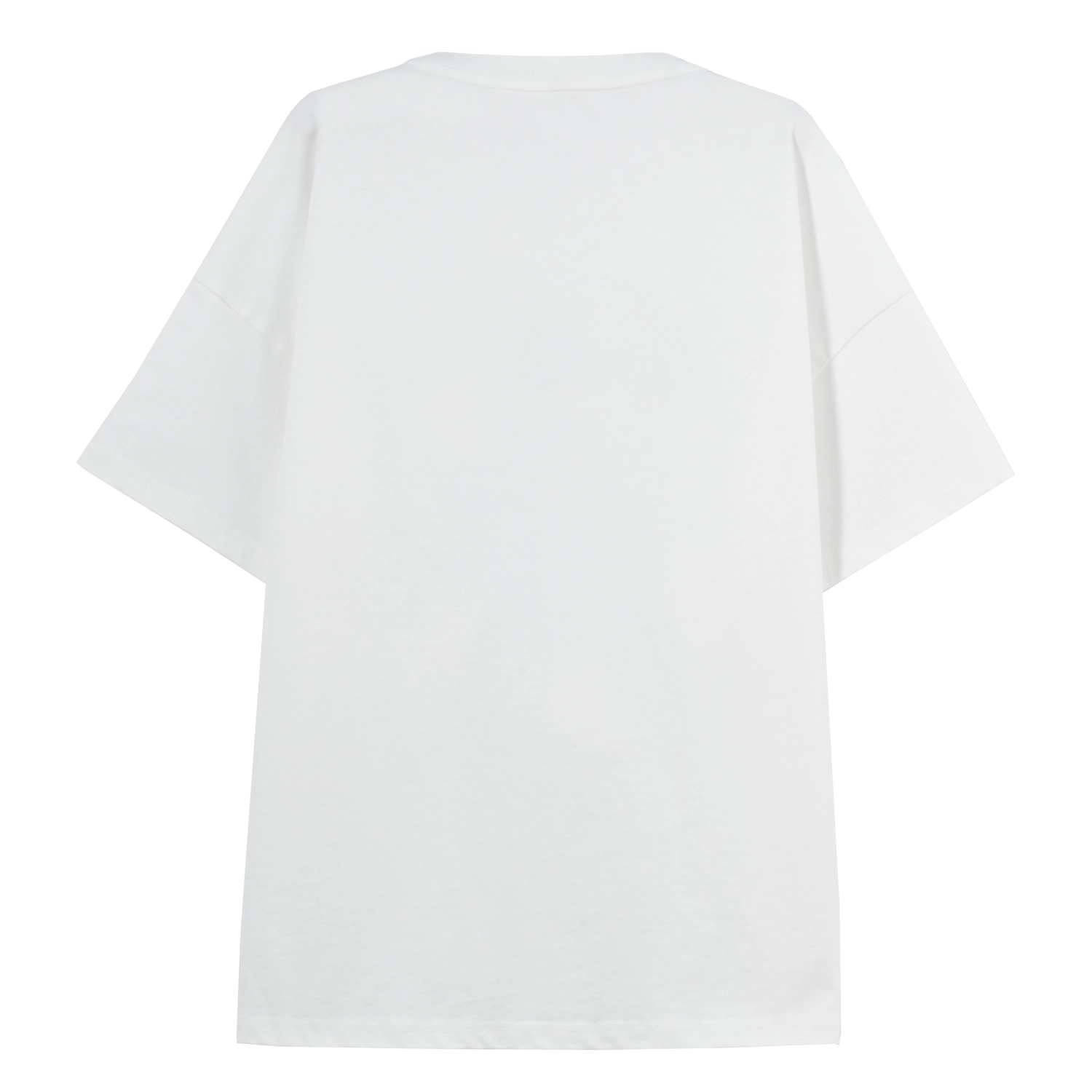 SNBL T