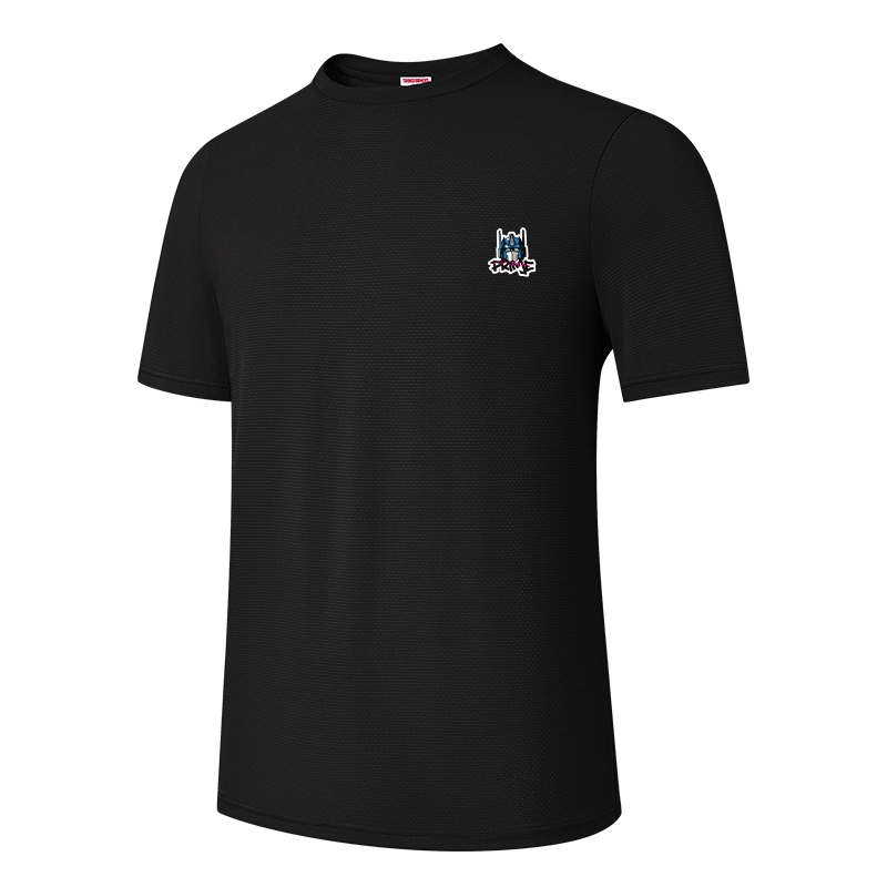 TRANSFORMERS T