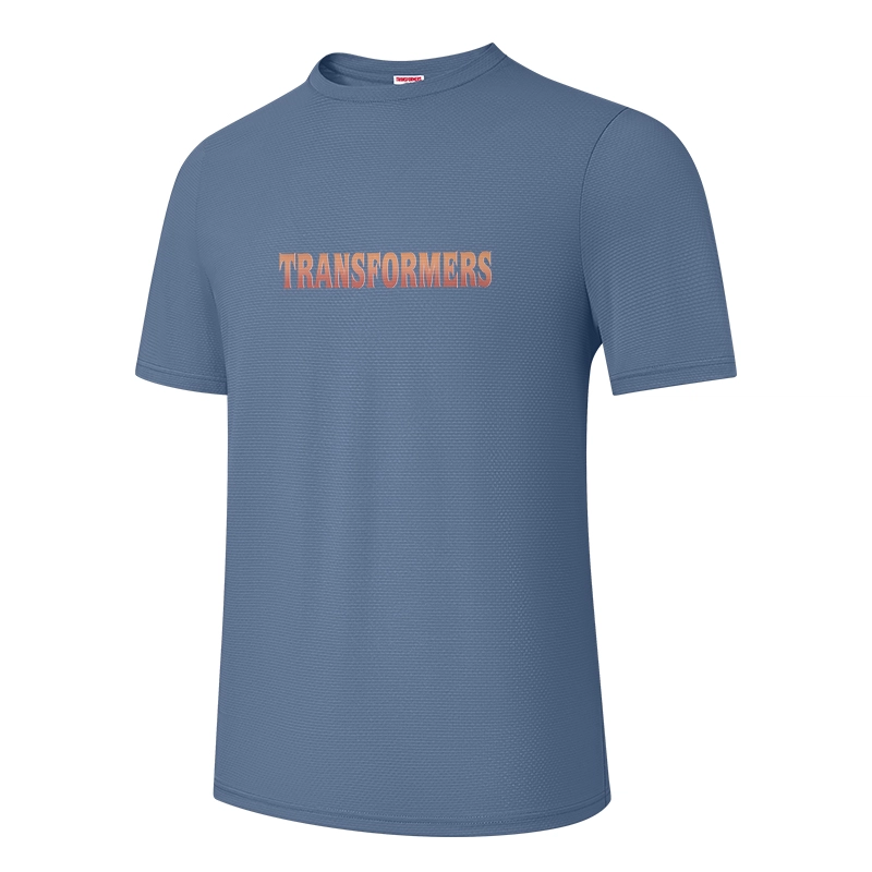 TRANSFORMERS T