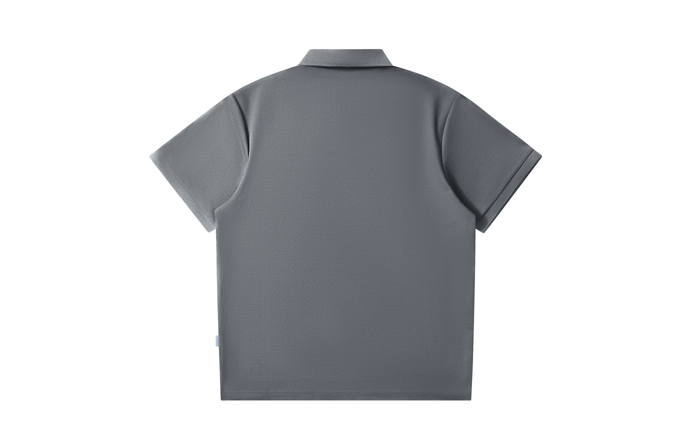 CSKS LogoPolo