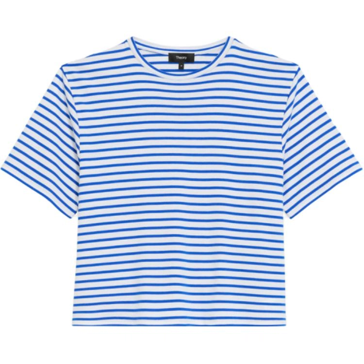 THEORY T