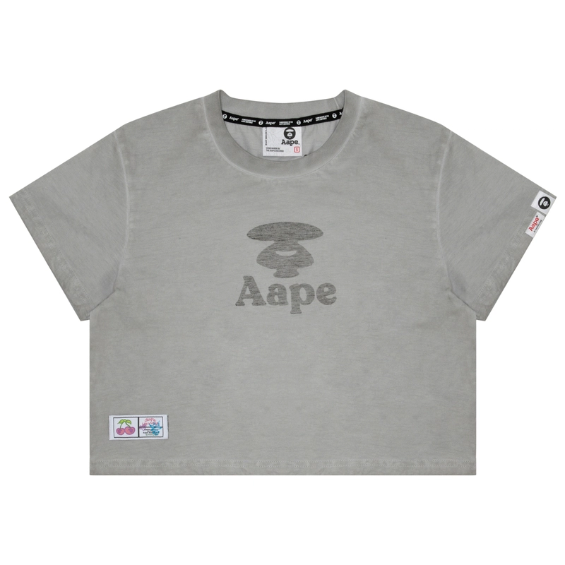 Aape T