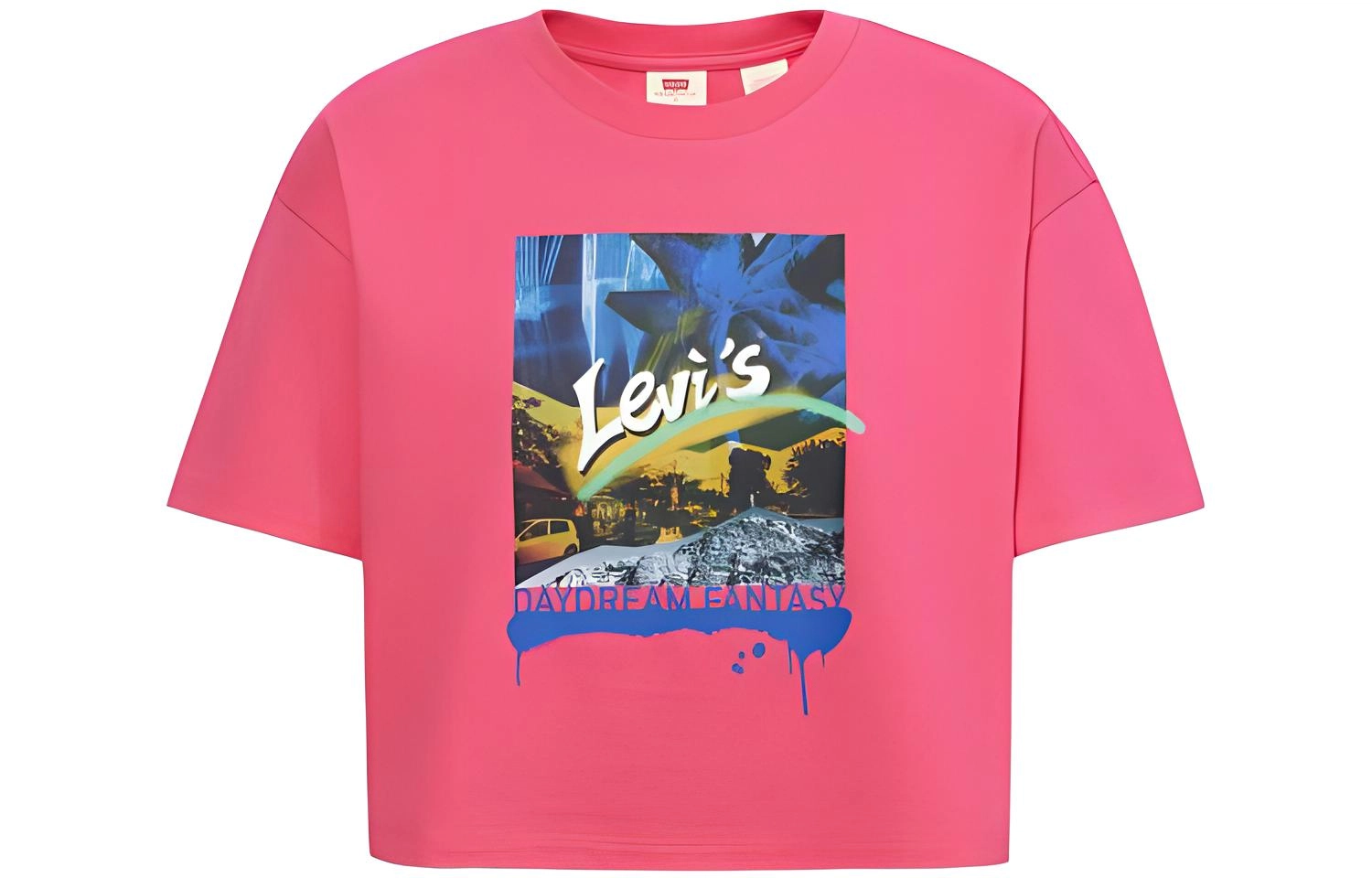 Levis T