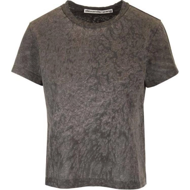 alexander wang T