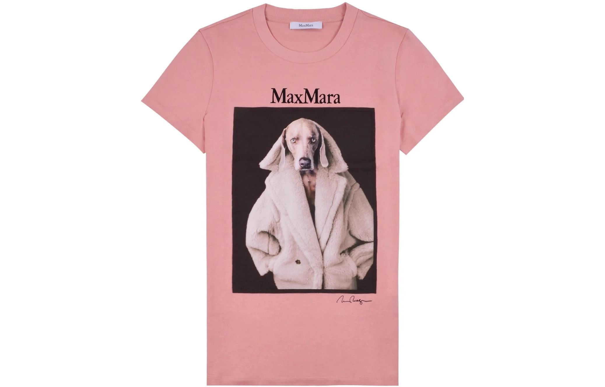 MaxMara T