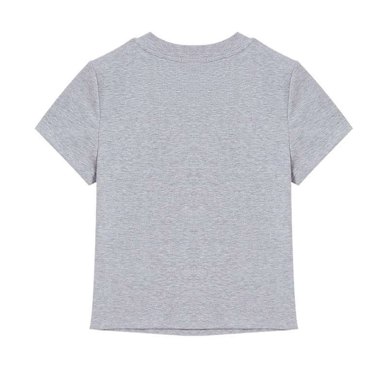 WESTLINK T