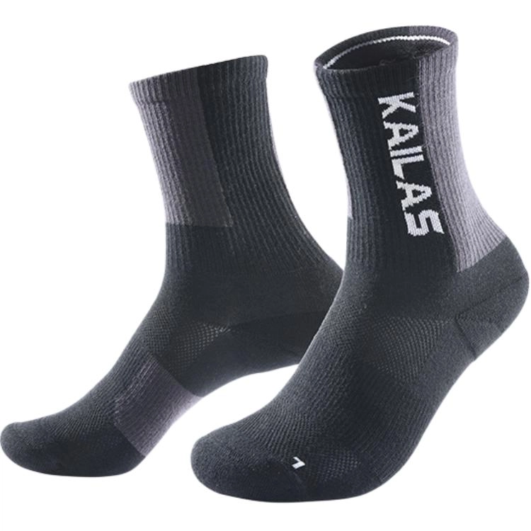KAILAS FUGA 1