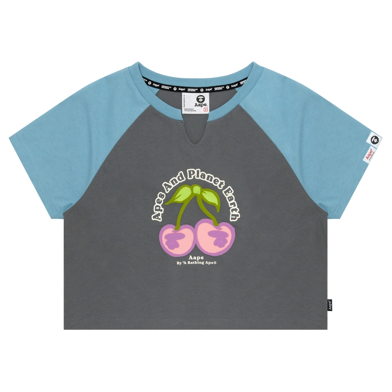 Aape T