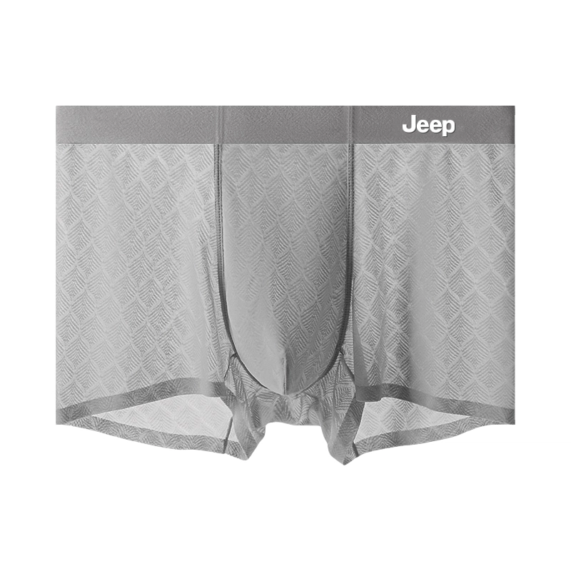 Jeep 1