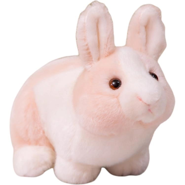 28cm