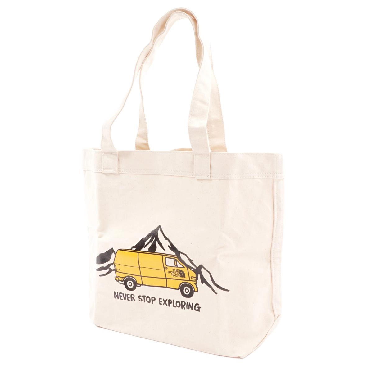 THE NORTH FACE 17L Tote