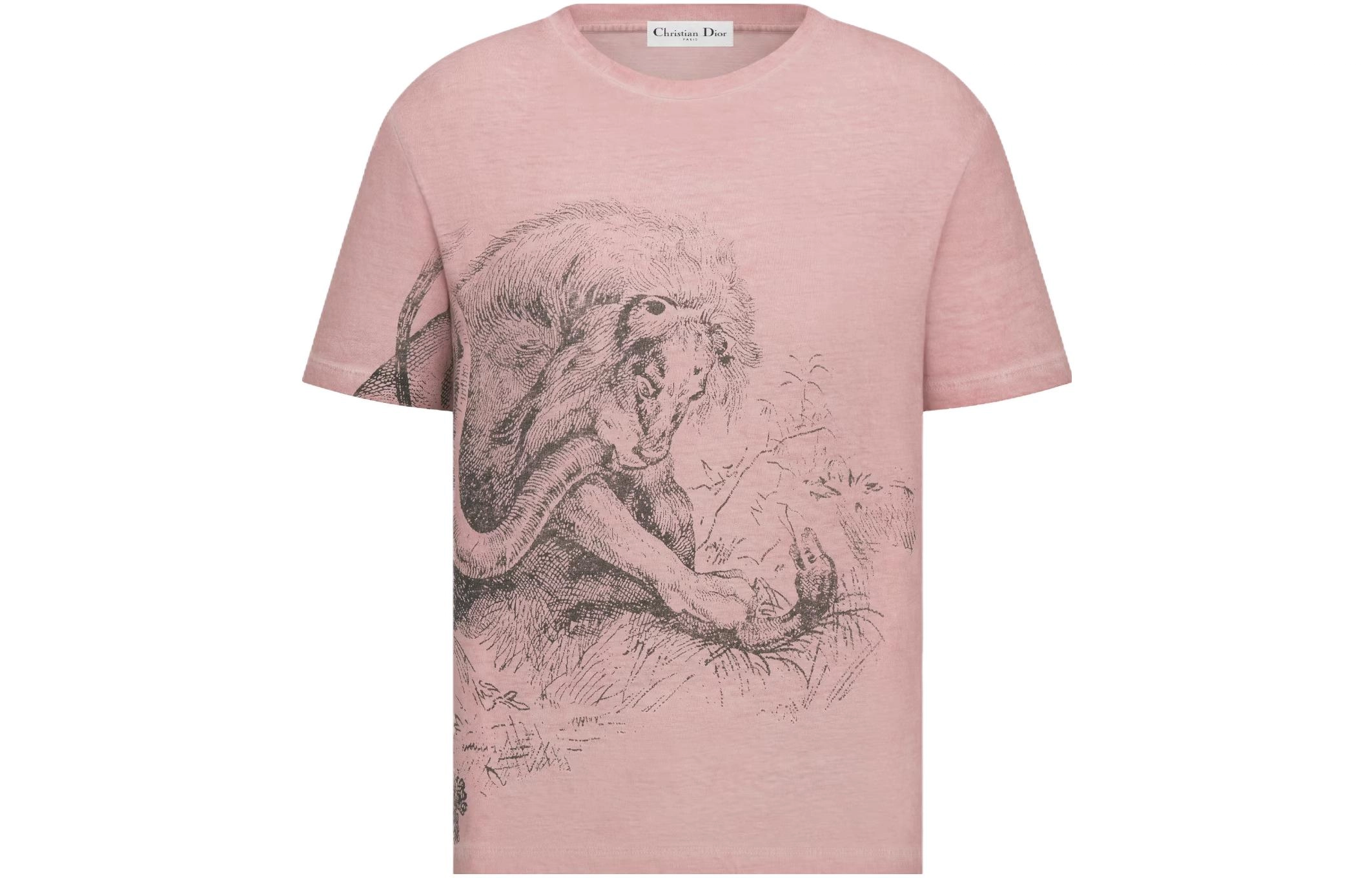 DIOR SS23 T