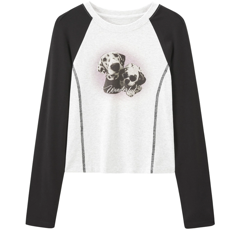 LEDIN T