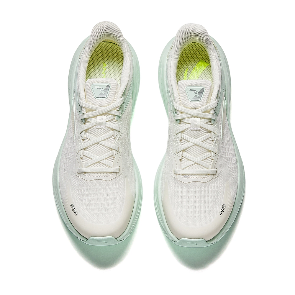 Anta 6