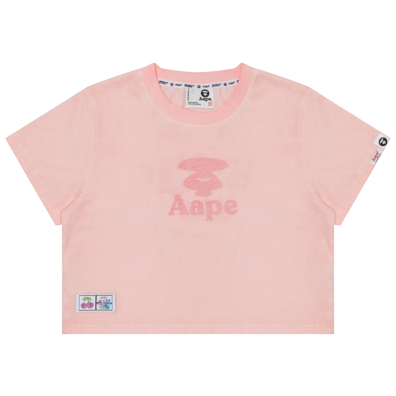 Aape T