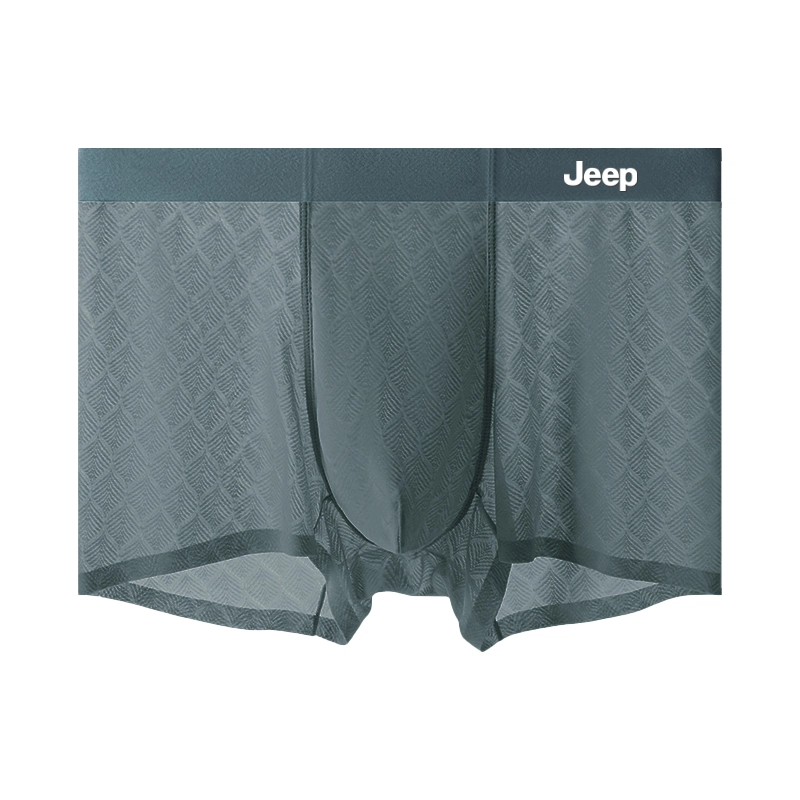 Jeep 1