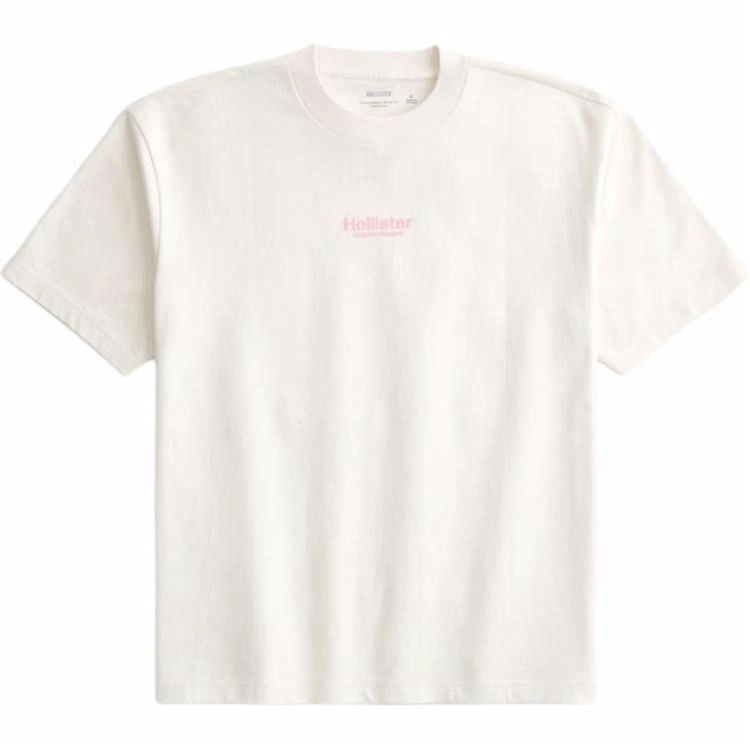 Hollister T
