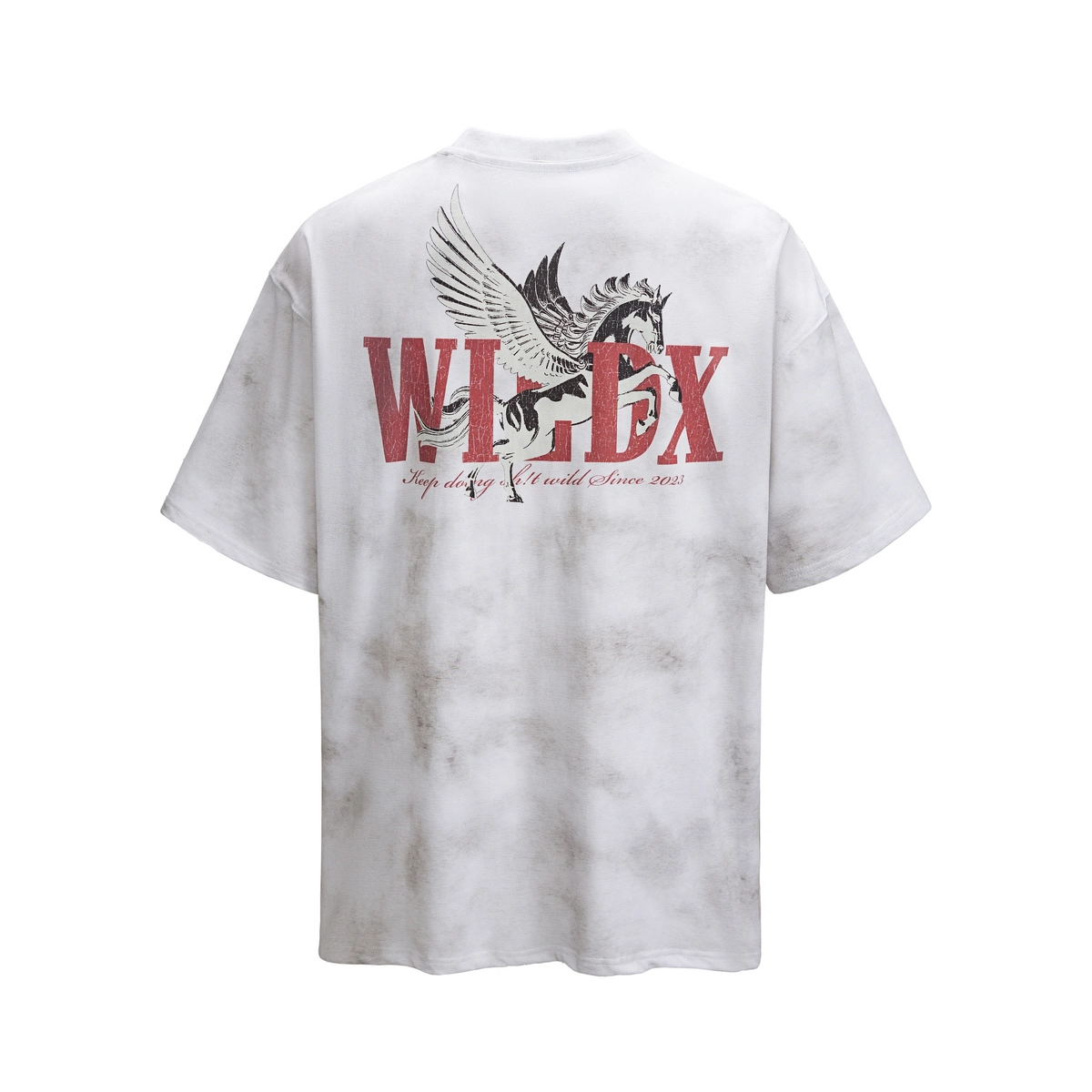 WILDX PegasusT
