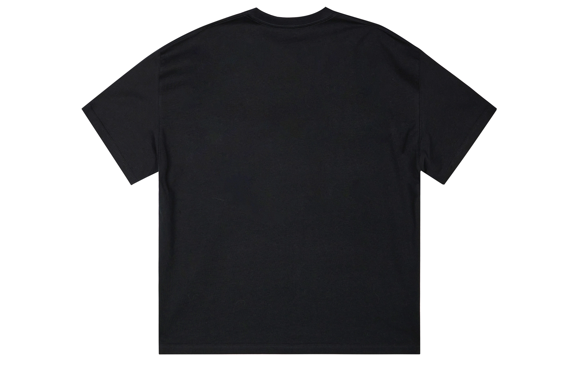ICONS Lab ICS T