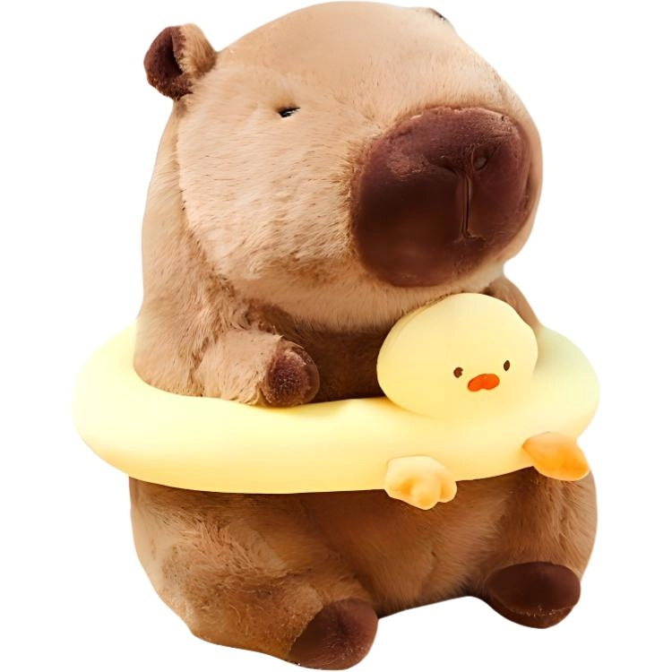 30cm40cm