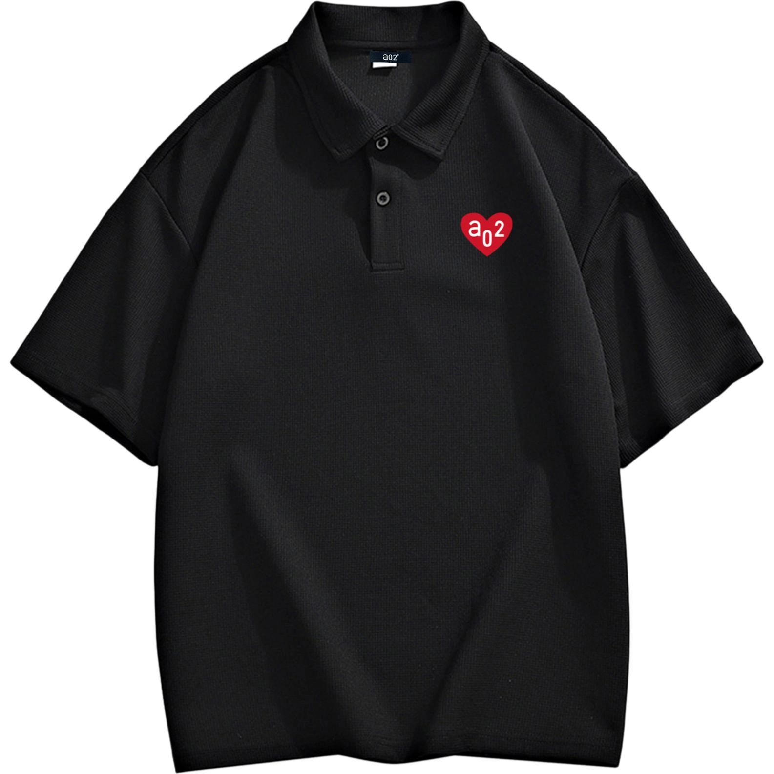 a02 LogoPolo