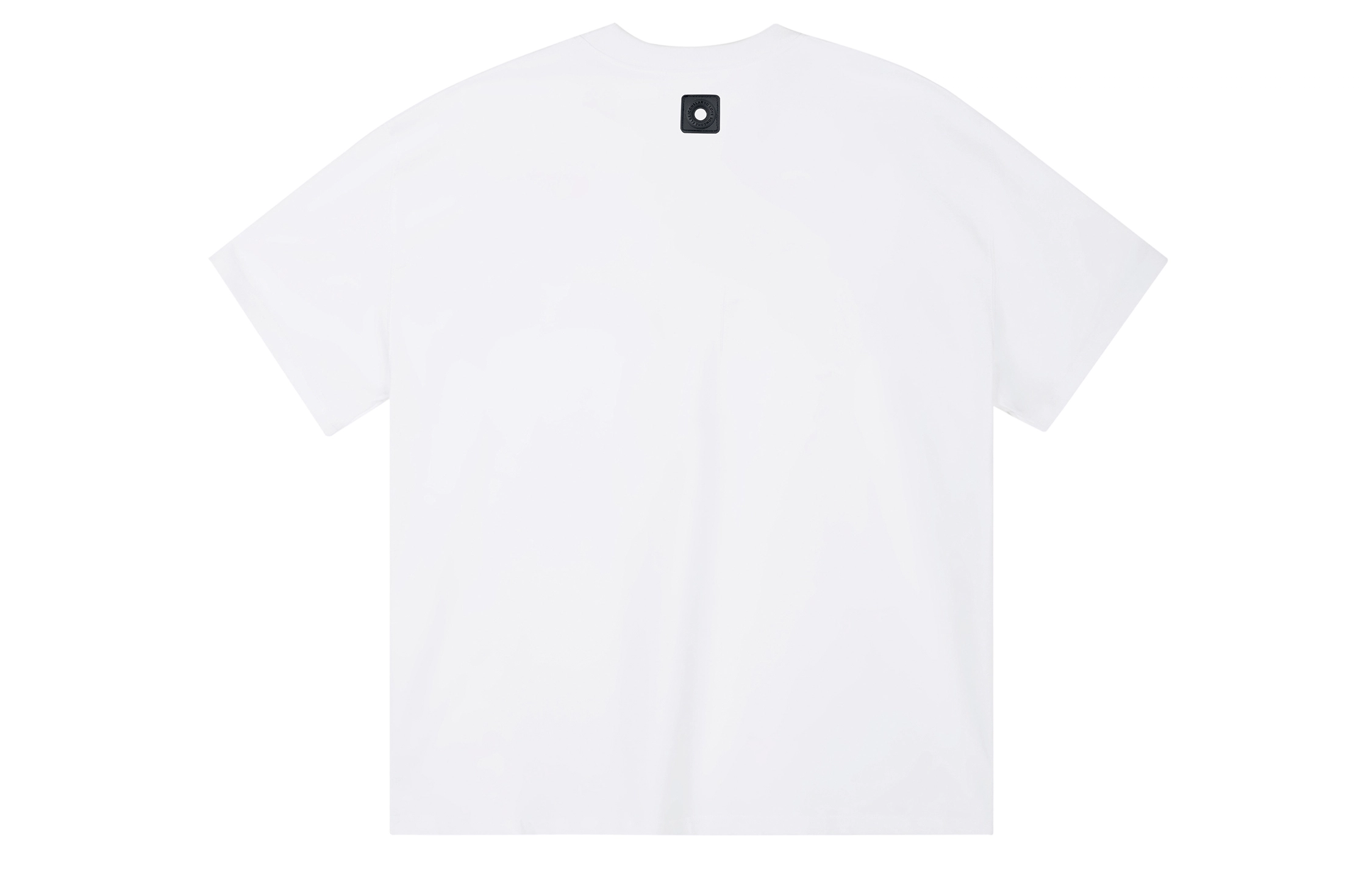 ICONS Lab ICS T