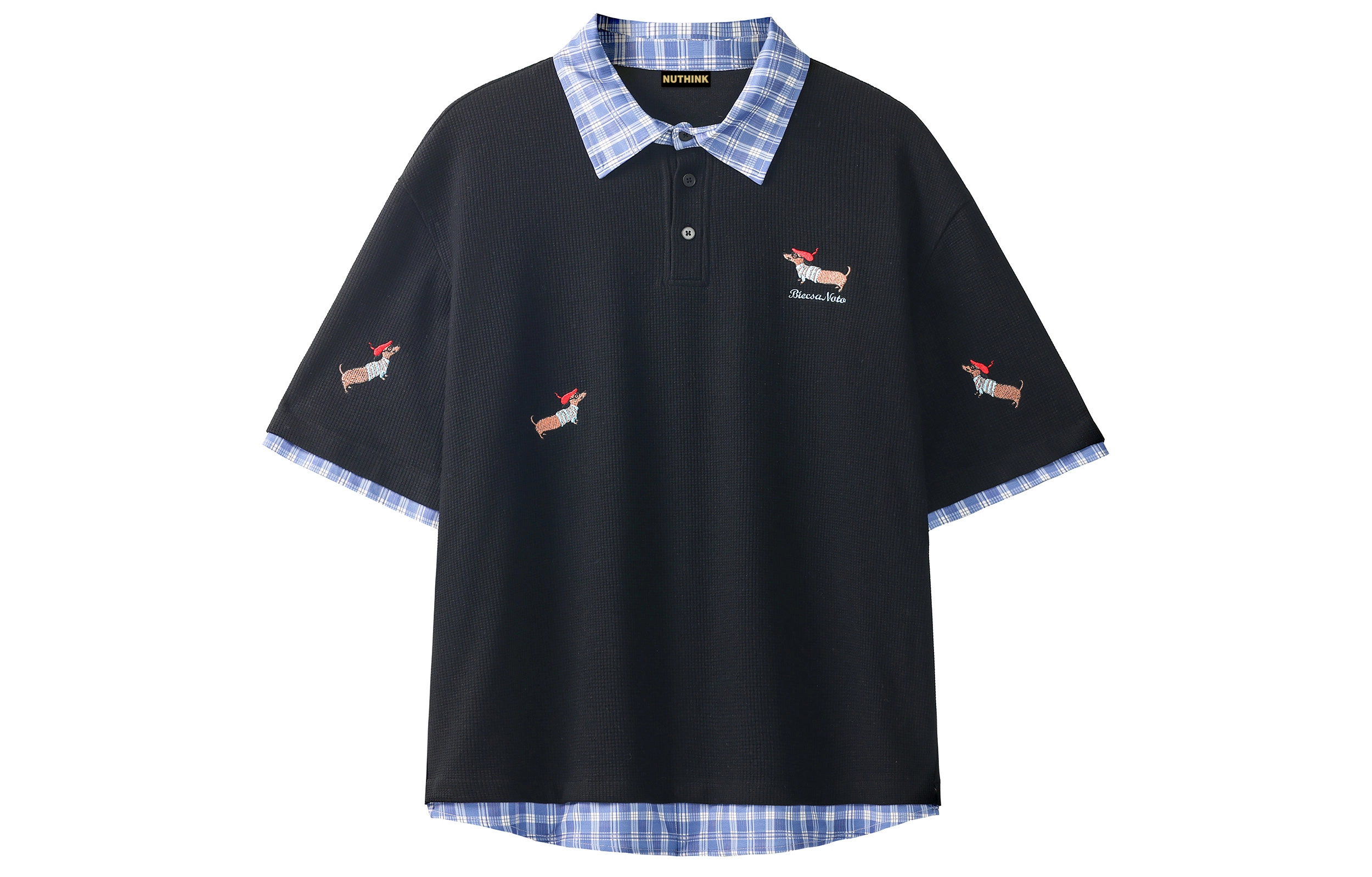 WELTER EXPERIMENT Polo