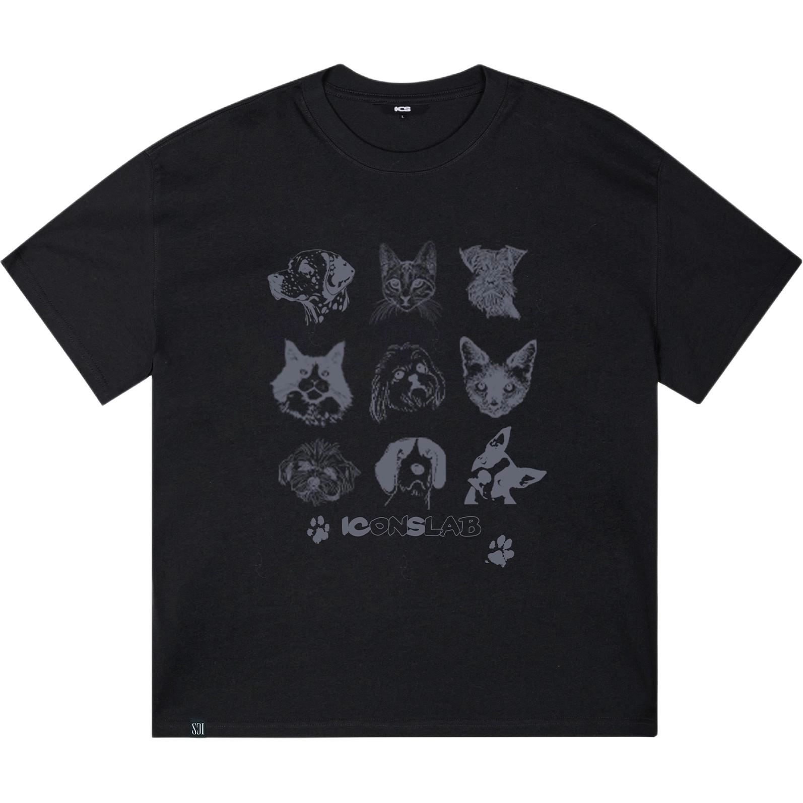 ICONS Lab ICS T