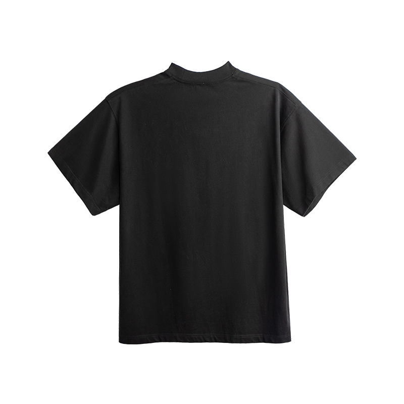 DBW DOUBLEWIN T