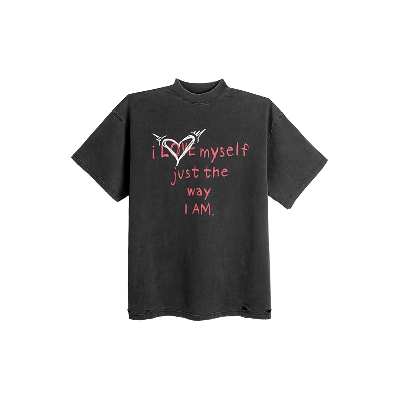DBW DOUBLEWIN T