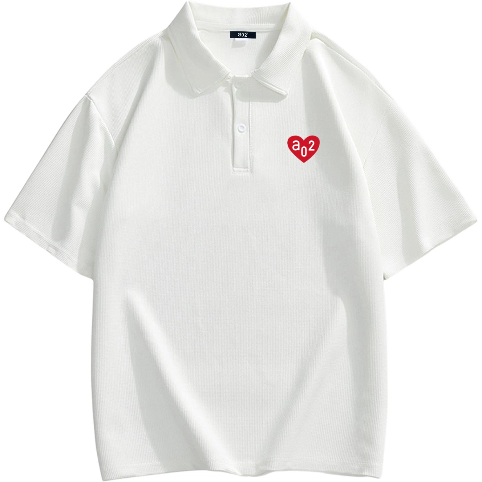 a02 LogoPolo