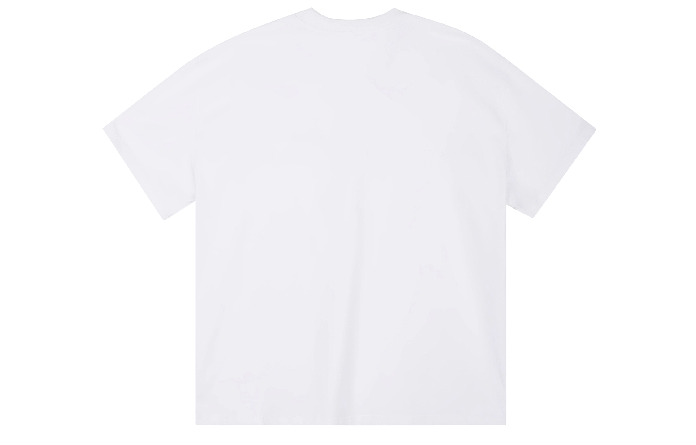ICONS Lab ICS T