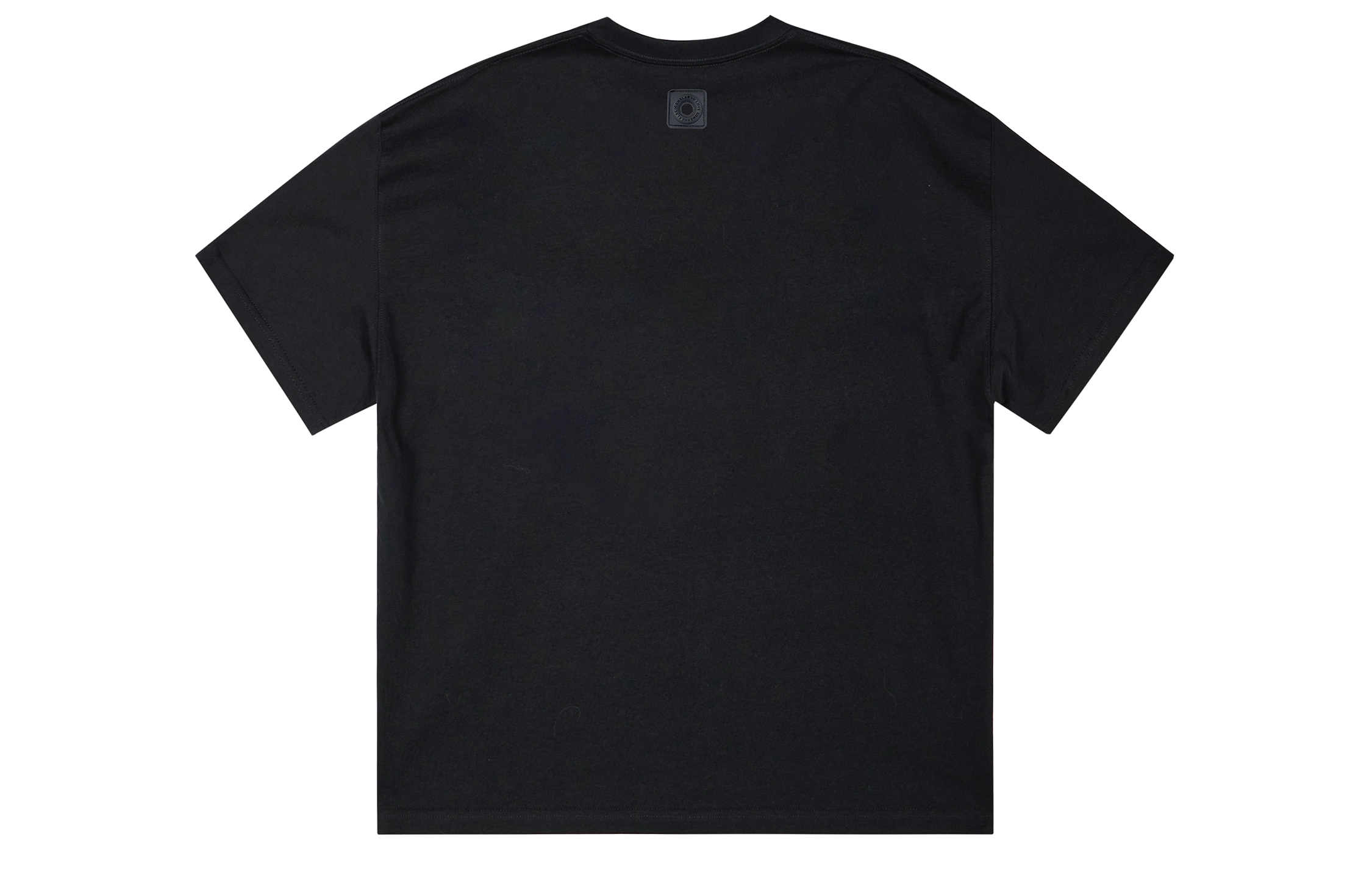 ICONS Lab ICS T