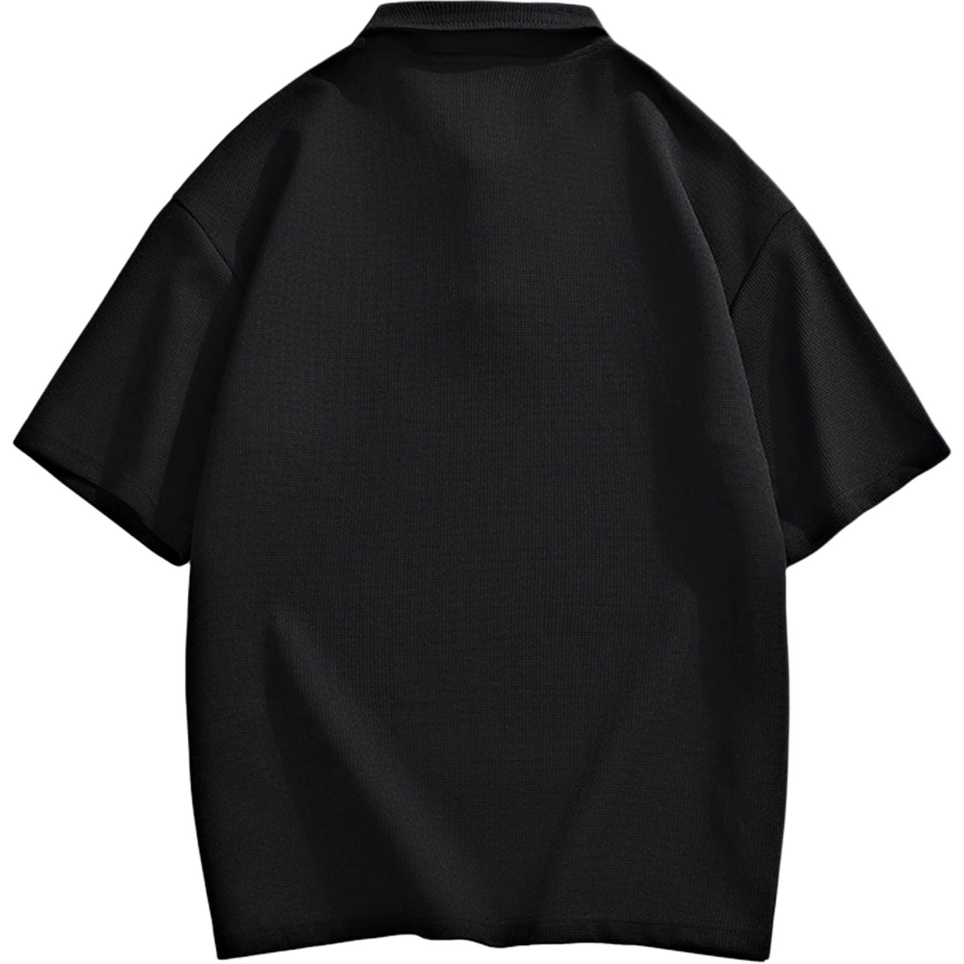 a02 LogoPolo