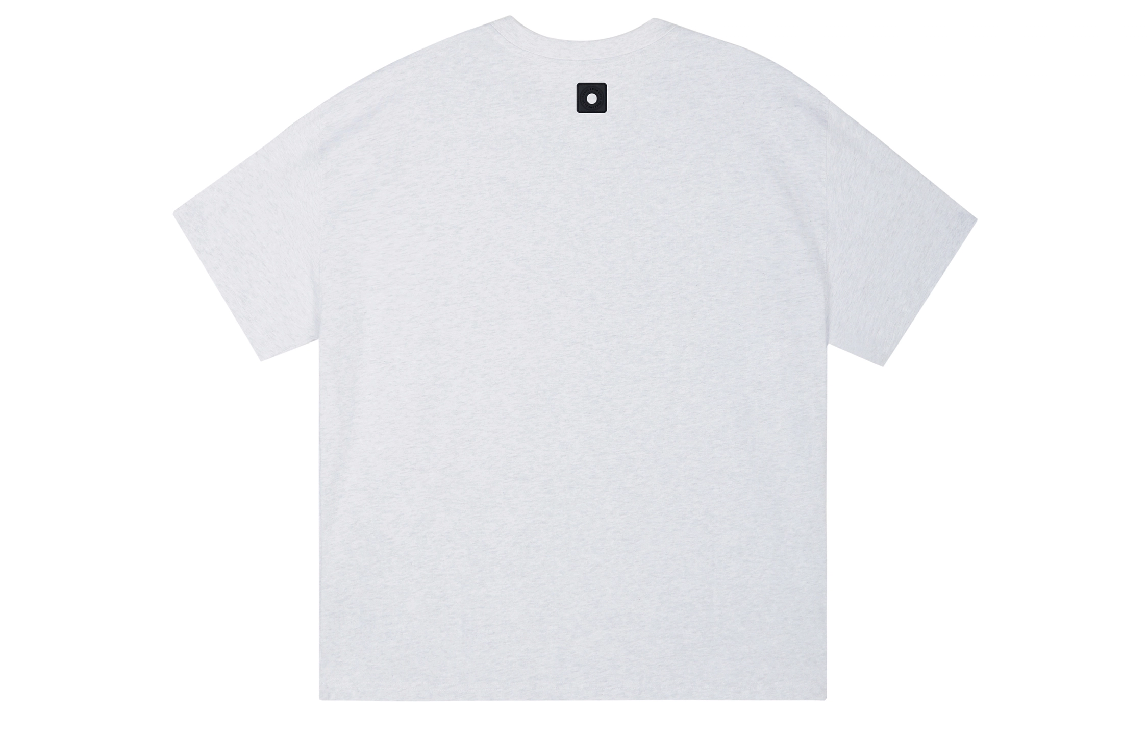 ICONS Lab ICS T