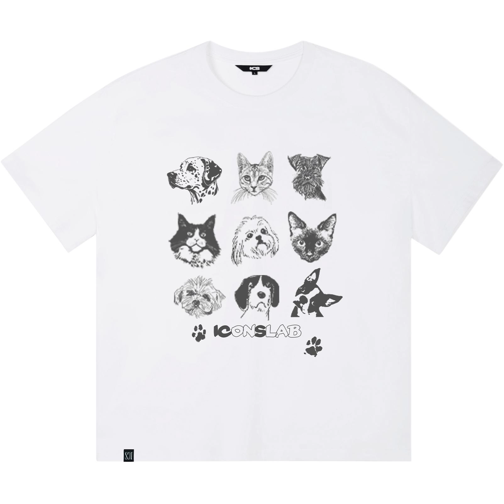 ICONS Lab ICS T