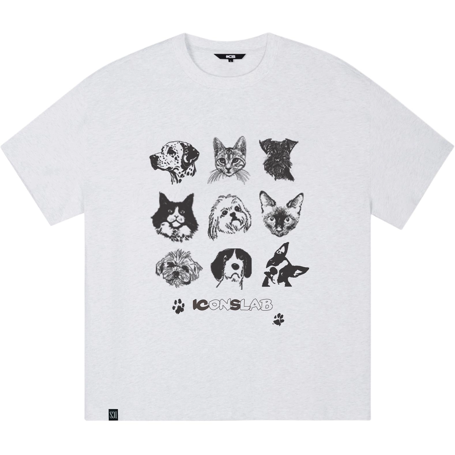 ICONS Lab ICS T